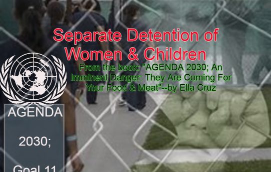 Agenda 2030, Goal 11; The Settlement of Women & Children In Separate Concentration Camps?