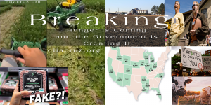 reaking: Hunger Is Coming and the Government Is Creating It! ellacruz.org